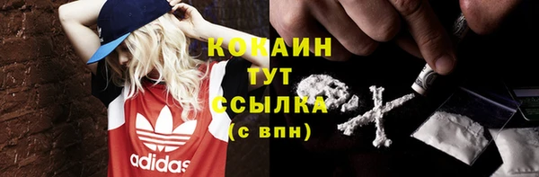 сатива Краснослободск