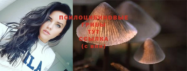 прущая мука Краснотурьинск
