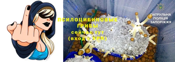2c-b Кукмор