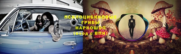 сатива Краснослободск