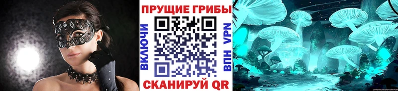 Галлюциногенные грибы Cubensis  Малгобек 