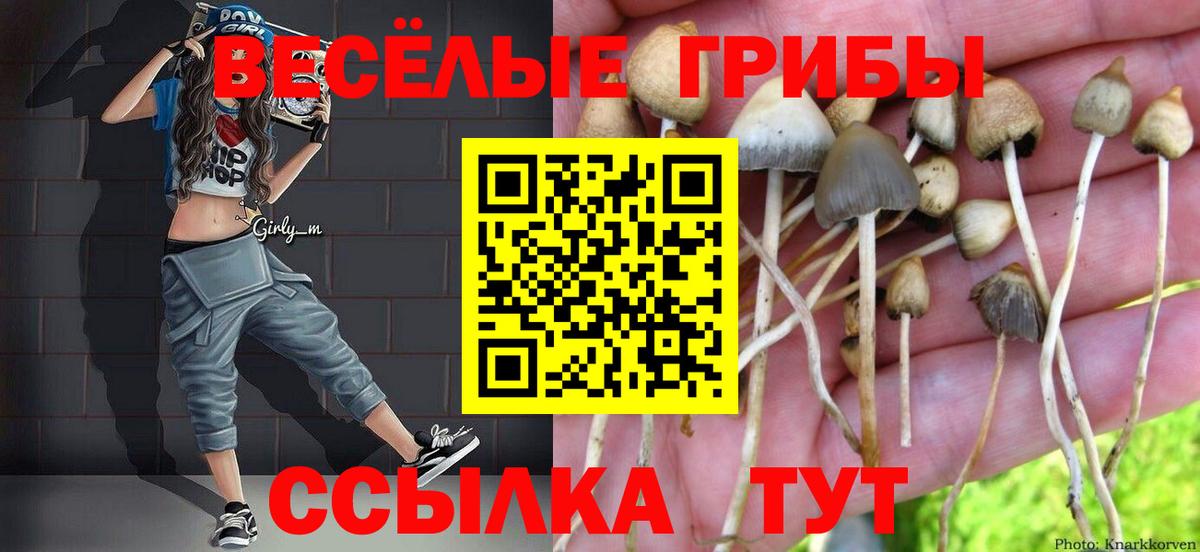 Псилоцибиновые грибы ЛСД  Вход с VPN  купить наркоту  Малгобек  Галлюциногенные грибы Magic Shrooms 